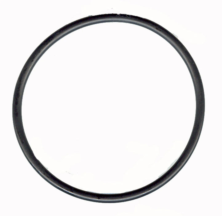 Black circular o-ring on a white background