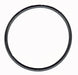Black circular o-ring on a white background